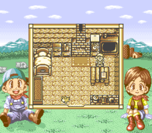 Natsume is Looking to Put More Game Boy Color Games on the 3DS Virtual Console