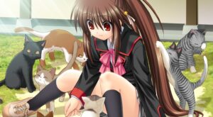 Visual Novels Little Busters and Tomoyo After Getting Official English Releases