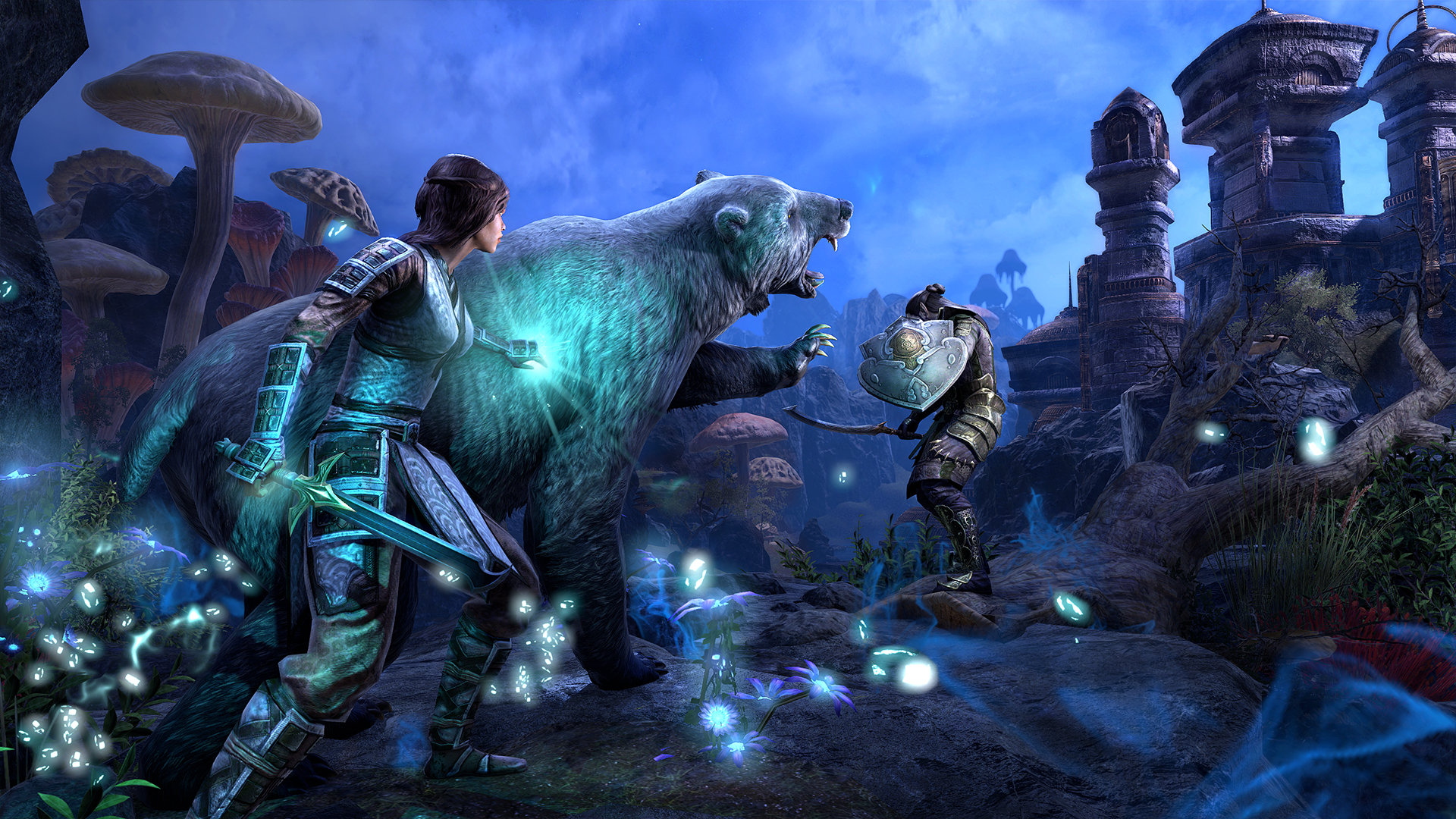 Elder Scrolls Online - The Combat and the Content of ESO - MMORPG