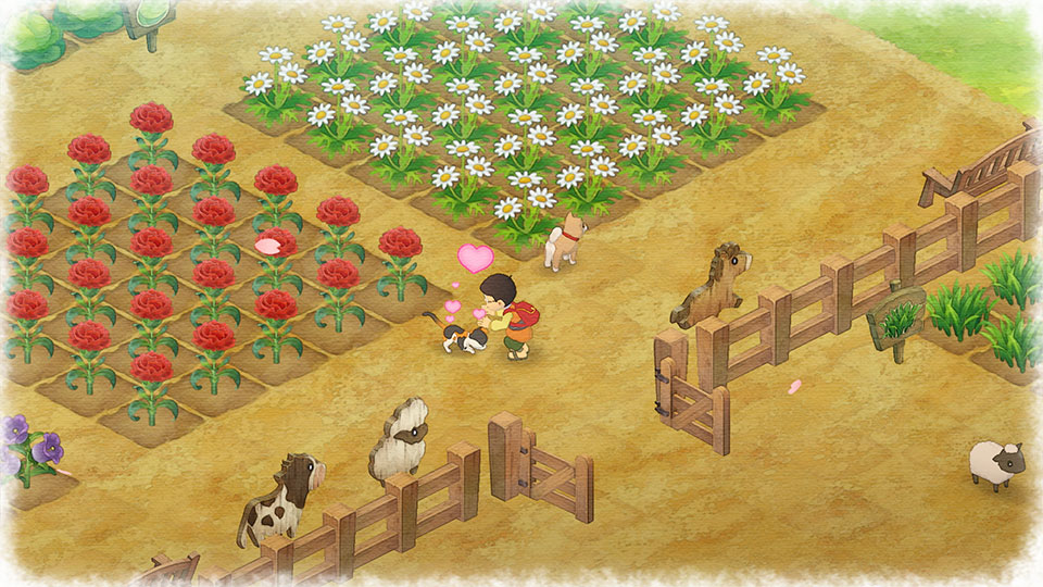 story of seasons game new