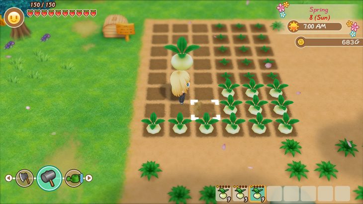 Story of Seasons: Friends of Mineral Town