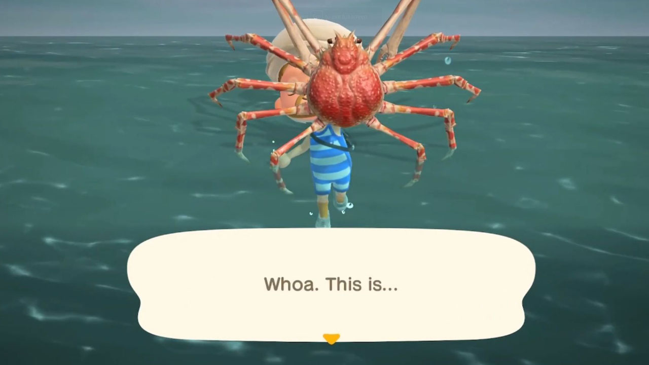Catch Sea Creatures in Animal Crossing: New Horizons