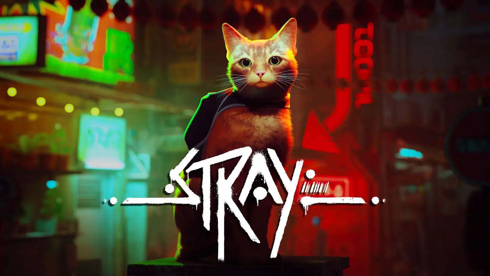 The New PlayStation 5 Game 'Stray' Lets You Be A Mystery Solving Cat In A  Neon-Lit Cyberpunk City