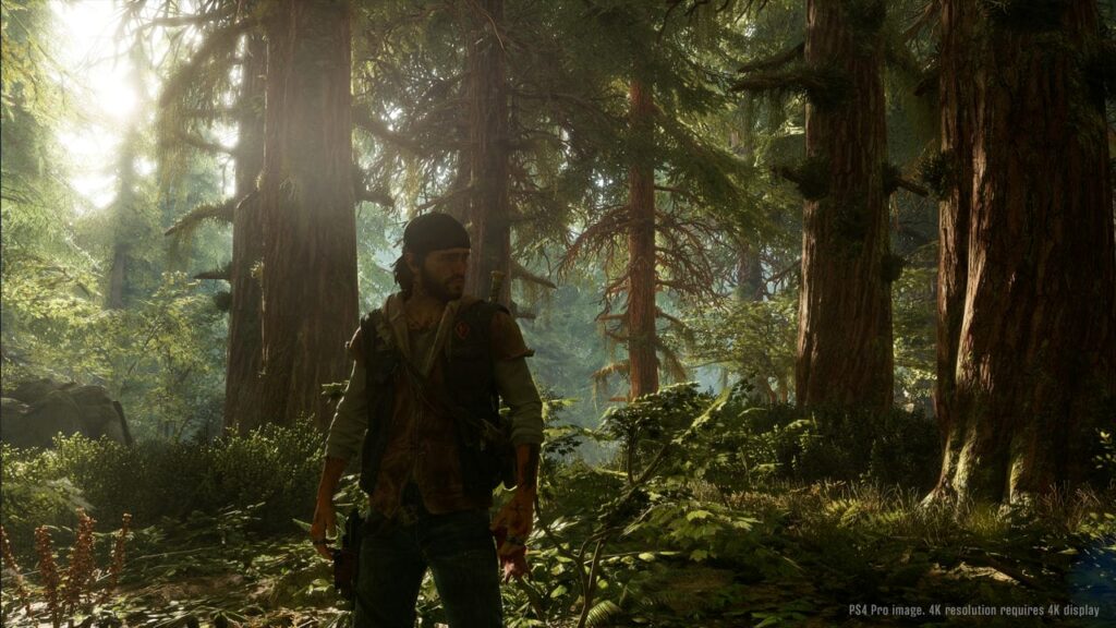 Days Gone director blames middling reviews on 'woke reviewers' and tech  issues