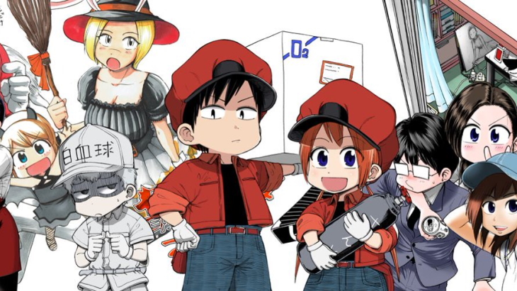 Cells at Work: Putting a New Spin on Slice of Life